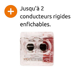 Mini borne S2273 avec 2 entrées et conducteurs 2,5mm² - Wago pas cher