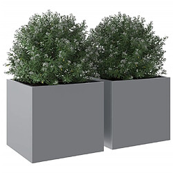 Avis vidaXL Jardinières 2 pcs argenté 32x30x29 cm acier galvanisé