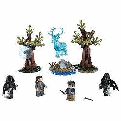 Ludendo Expecto Patronum LEGO Harry Potter 75945