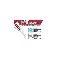 Acheter Advantix Chien Moyen - Anti-Puces et Anti-Tiques - 10-25KG - 4 Pipettes