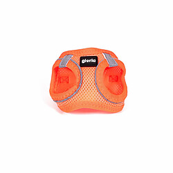 Harnais pour Chien Gloria Trek Star 27-28 cm 31-34,6 cm Orange XS