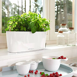 LECHUZA Jardinière DELTA 10 ALL-IN-ONE Blanc brillant