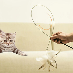 Jouets pour chats pas cher