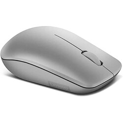 LENOVO - Souris sans-fil USB 530 - 1200 DPI - Ambidextre - Pile AA - 65g - Gris Platinium