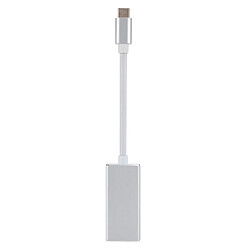 Avis Wewoo Convertisseur USB-C / Type-C 3.1 Mâle à Mini DP Femelle HDLongueur 12cm Argent