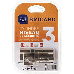 Bricard 17153 Cylindre Débrayable Astral 2,9 en Laiton 10 Pistons, 2 entrées 30+50, Protection Contre Le perçage et Le crochetage. Carte personnelle, Acier Nickelé, 80