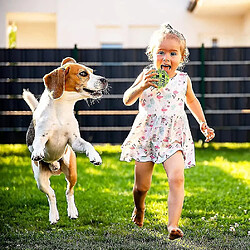 Avis Jouet de Balle pour Chien Non Toxique Chien Chiot Chat Nettoyage Des Dents Nettoyage Des Dents Cadeau de Balle d'entraînement