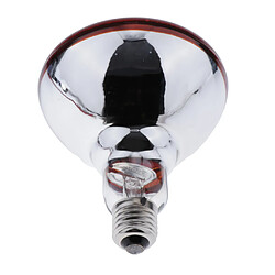 Acheter Lampe chauffante pour Reptiles et Amphibiens