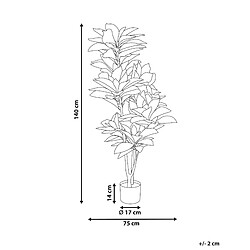 Avis Beliani Plante artificielle CODIAEUM 140 cm