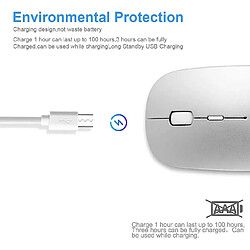 Acheter Universal Souris Bluetooth rechargeable pour tablette d'ordinateur portable MacBook / iPad / iPhone (iOS13.1.2 ou supérieur) Souris silencieuse silencieuse 3 DPI Réglable 800/1200/1600 Portab