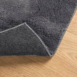 Acheter vidaXL Tapis HUARTE à poils courts doux et lavable anthracite 80x200cm