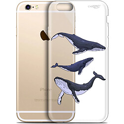 Caseink Coque arrière Apple iPhone 6/6s (4.7 ) Gel HD [ Nouvelle Collection - Souple - Antichoc - Imprimé en France] Les 3 Baleines