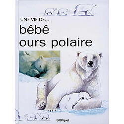 Bébé Ours polaire - Occasion