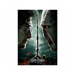 SD Toys Harry Potter - Puzzle Harry vs Voldemort