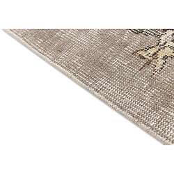 Vidal Tapis de laine 272x178 brun Ultra Vintage