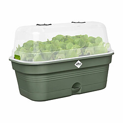 Avis Elho Pot Ø 39 cm - Plastique