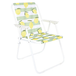 Avis The Home Deco Factory Lot de 2 chaises de camping pliante Citrons - Multicolore