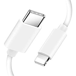 Chargeur Rapide 20W + Cable USB-C Lightning pour iPhone 13 / 12 / 11 / PRO / MAX / MINI Little Boutik®