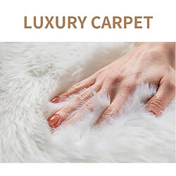 Acheter LUUCOZK Tapis moelleux en fausse fourrure Tapis à poils longs pour chambre à coucher Salon-Café-100x180cm