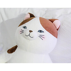 Universal Poupée de chat 13 pouces oreiller peluche animal chat coussin mignon peluche douce pour les enfants bébé cadeau d'anniversaire | Peluche animal peluche