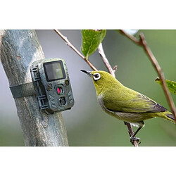 Acheter Caméra de surveillance compact technaxx nature wild cam tx-117