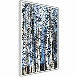 Paris Prix Affiche Murale Encadrée Winter Birch Trees 30 x 45 cm Blanc