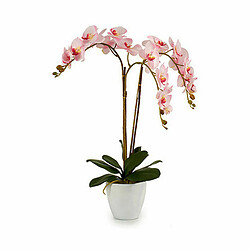 Ibergarden Plante décorative Orchidée Plastique 40 x 77 x 35 cm (2 Unités)