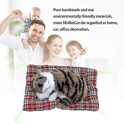 Universal Nouvelle belle simulation animale poupée en peluche de chats avec un jouet pour enfants