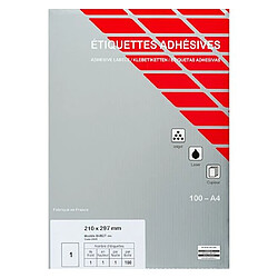 Techmay Etiquettes couleurs 210 x 297 mm bleues - Boîte de 100