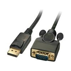 Disney DisplayPort 1.2 - VGA M-M 1m Displayport version 1.2, Black Supports (1920 x 1080P)