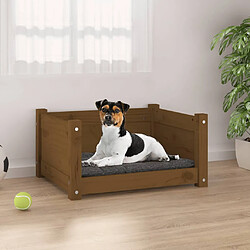 vidaXL Lit pour chien Marron miel 55,5x45,5x28 cm Bois massif de pin