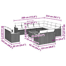 Acheter vidaXL Salon de jardin avec coussins 13 pcs noir résine tressée