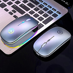 Avis Universal LED ultra-minces LUMIRES COLORFIRES RECHARGables Mini Mini Wireless Mute USB Optical Optical Ergonomic Gaming