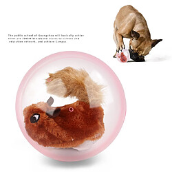 Avis La boule de roulement interactive automatique intégrée de chat en peluche de chien de chat joue le hamster de jouets