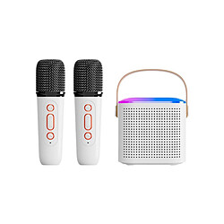 Eko Enceinte Bluetooth 5.3 Mini Karaoké Modèle Taylor Blanc