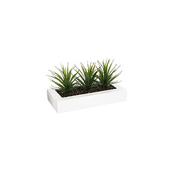 But Centre de table ALOE VERA Blanc