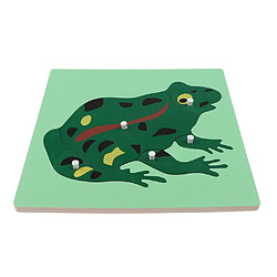 Montessori Animaux en bois Jigsaw Puzzle Panel Enfants Bébé Jouets Grenouille