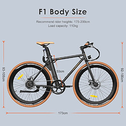 Avis Vélo électrique Fafrees F1, pneus CST 700C x 38C,250W,36V 10 Ah,,25 km/h,90 km- Orange Noir