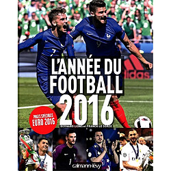 L'année du football 2016