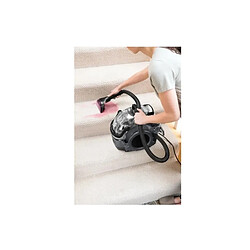 Acheter Cireuse tapis 750w - 3730N - BISSELL