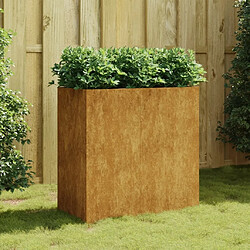 Maison Chic Jardinière,Bac à fleurs - pot de fleur 40x80x80 cm acier corten -GKD49988