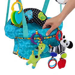 Acheter Bright Starts Balancelle de porte pour bébés "Bounce'n Spring" Turquoise