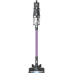 Aspirateur balai Proline HANDYPOWER25 25,2 V Gris et Violet