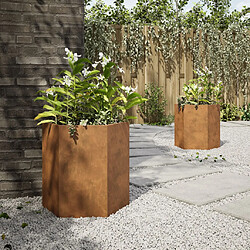 Avis vidaXL Jardinières 2 pcs hexagone 46x40x45 cm acier corten