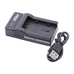 vhbw Chargeur USB de batterie compatible avec JVC EVERIO GZ-EX315WEU, GZ-EX215, GZ-EX215BEU batterie appareil photo digital, DSLR, action cam