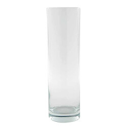 Vase Cylindrique Flora 26cm Transparent