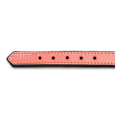 Collier pour Chien Gloria Rembourré Corail (30 x 1,5 cm) pas cher