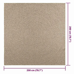 vidaXL Tapis ZIZUR beige 200x200 cm aspect de jute intérieur extérieur pas cher