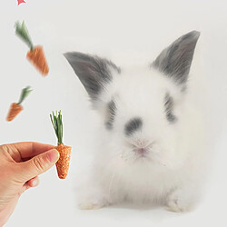 Jouets à Mâcher Lapin pour Traitements au Foin Jouet en forme de Carotte Herbe Séchée Fléole des Bois