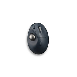 Kensington Pro Fit Ergo TB550 mouse